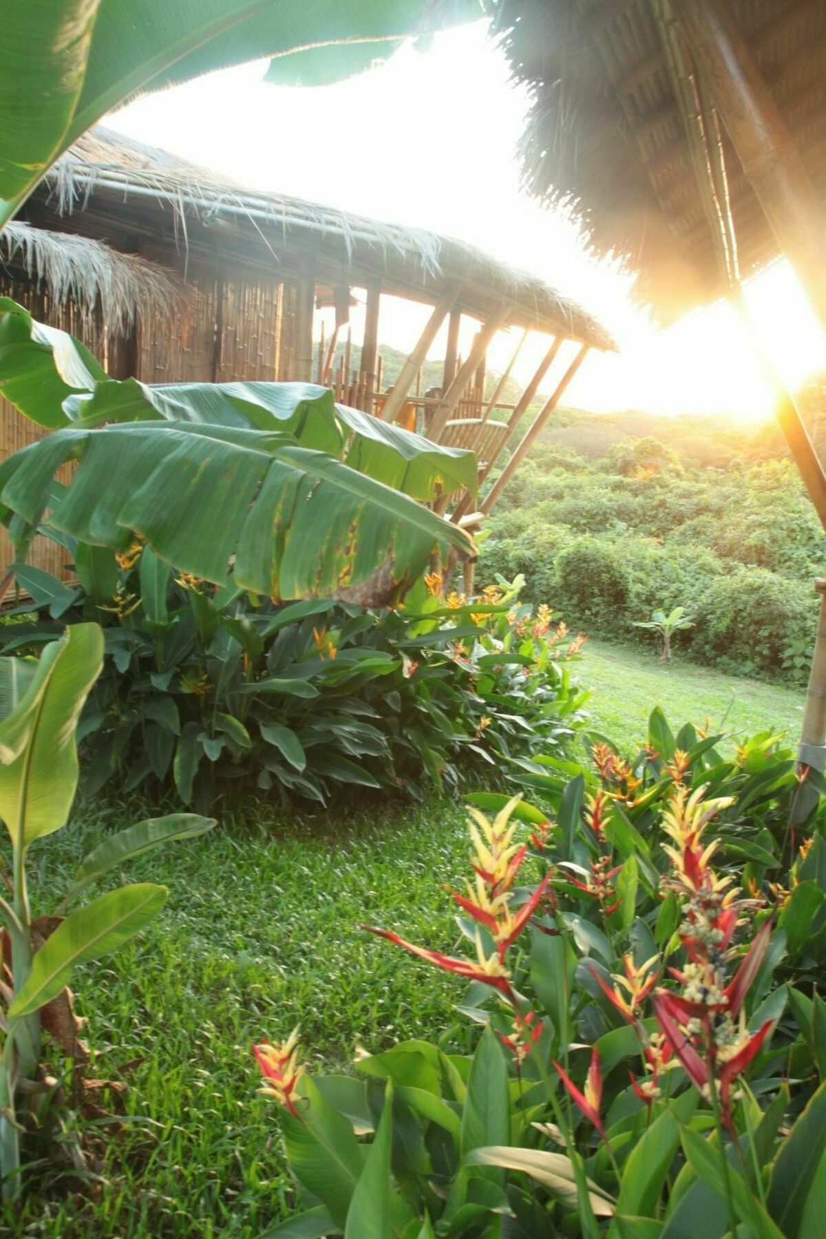 Phuree Hut Koh Phayam Exterior foto